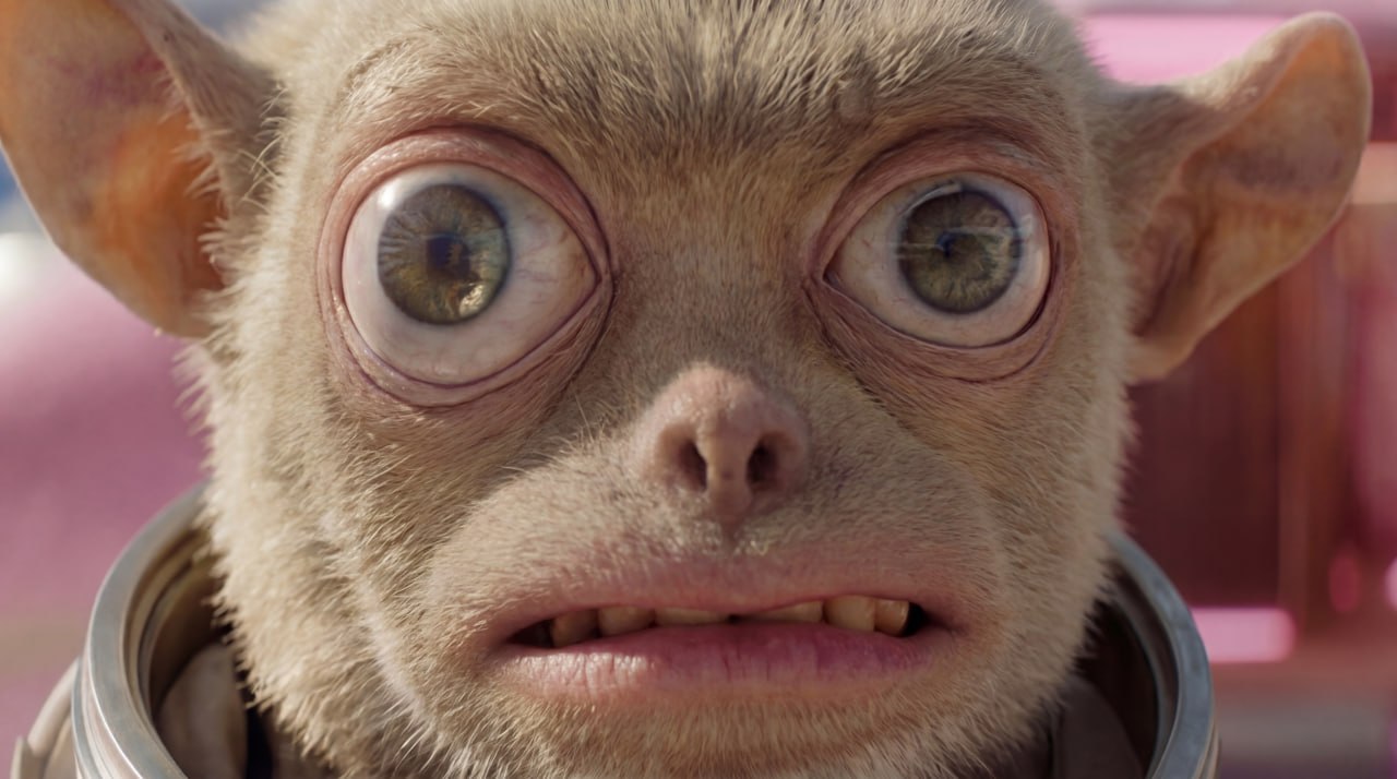 HFgrfGBXIAAobnN.jfif