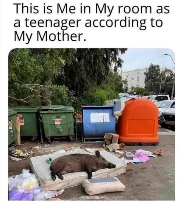 FxSPZpCaMAEXKmG (1).webp