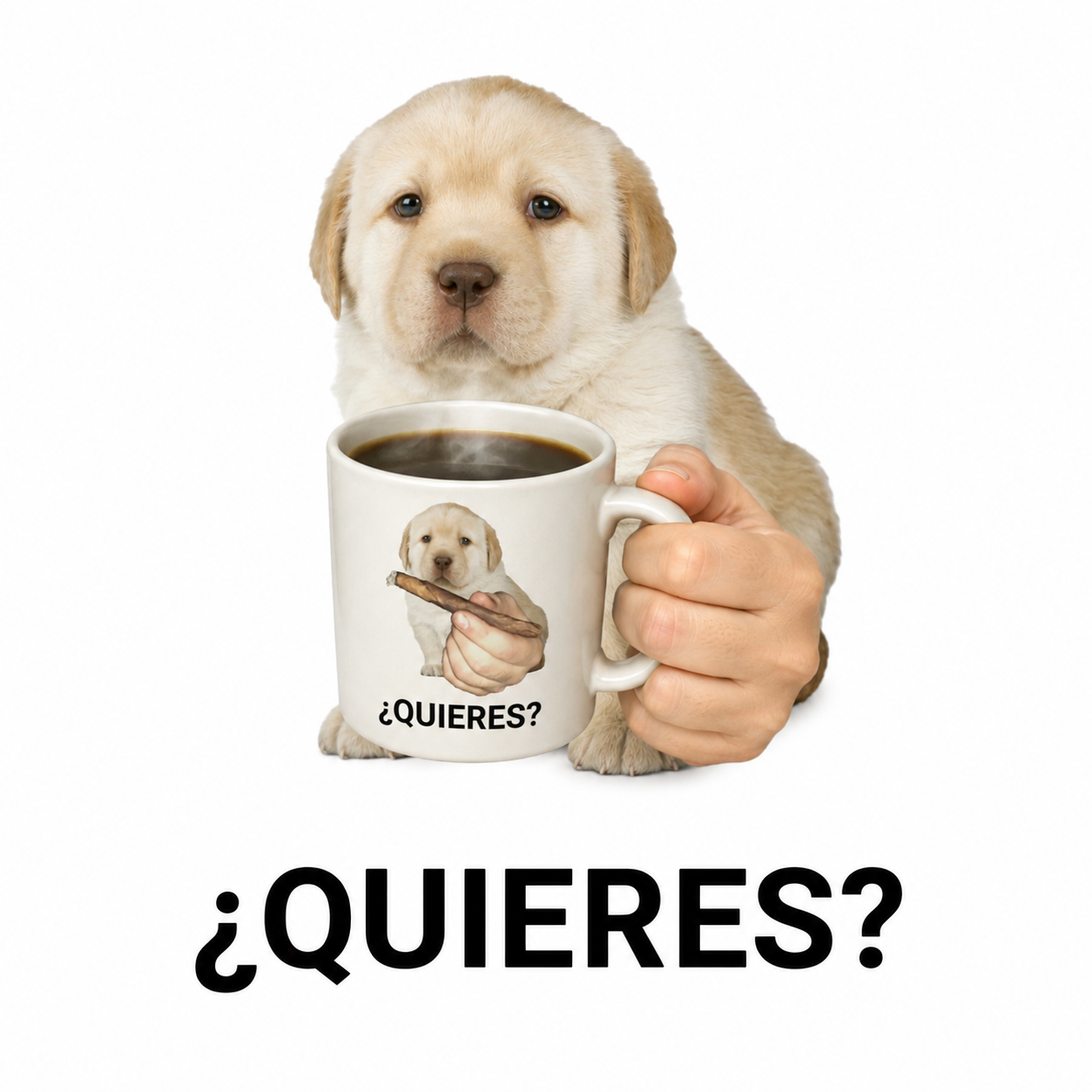 CB10F282-C380-444C-B0EF-D1E0291D6BAD.png