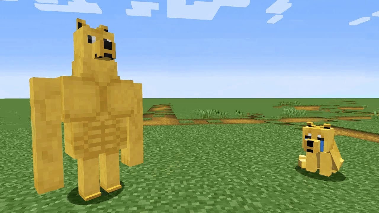 Minecraft doge Cheems Chad swole.jpg