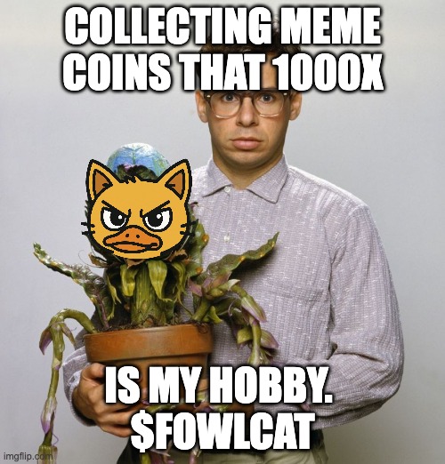 Feed me $FOWLCAT.JPG