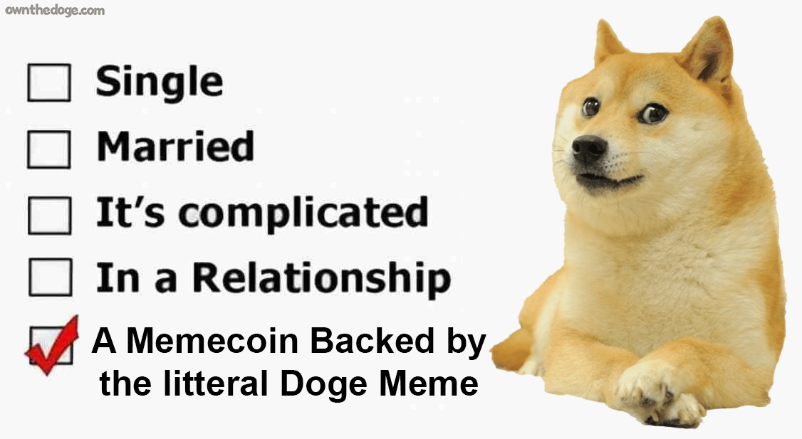 doge-relationship-status.png