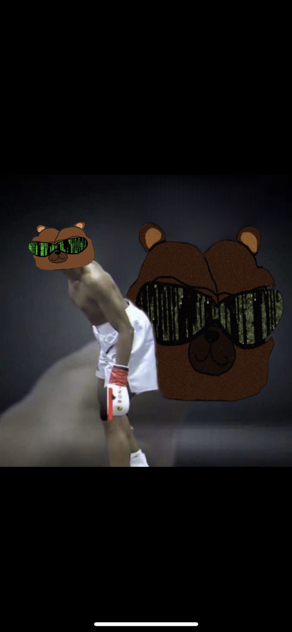 Ansem Bear.jpeg
