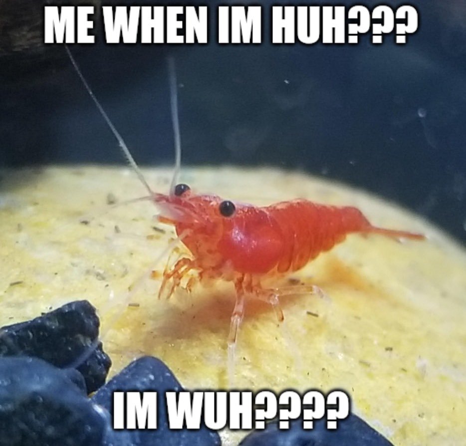 blob