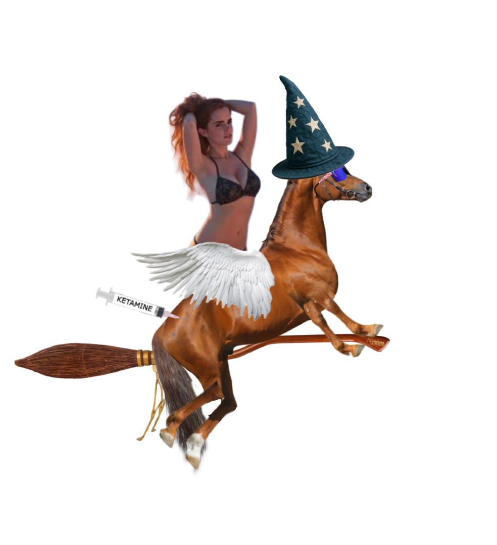 Emma_on_horse.png