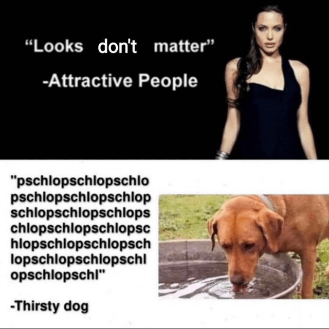 by81hhf5wl3b1.png