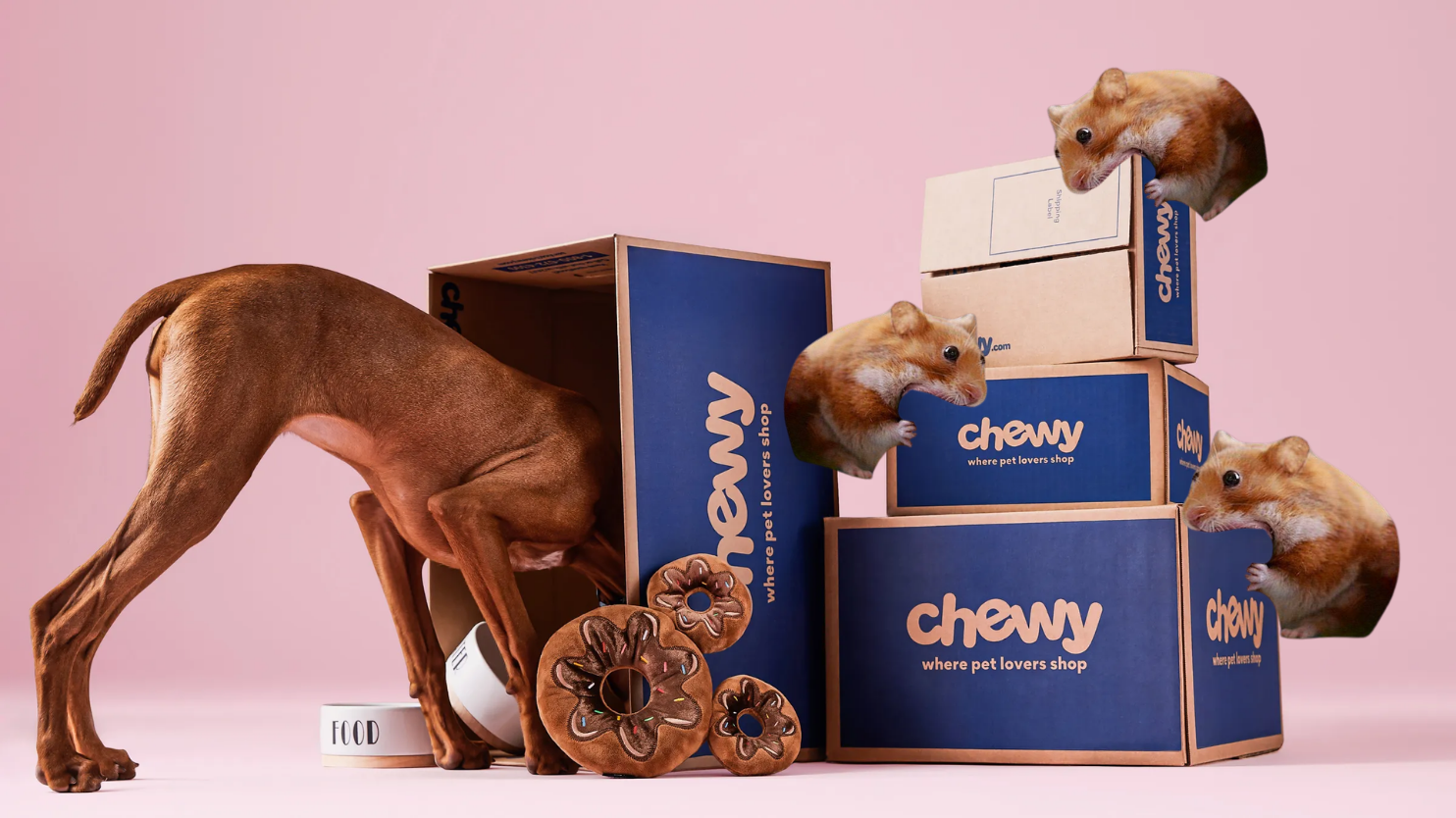 nomnom_chewy_1.png