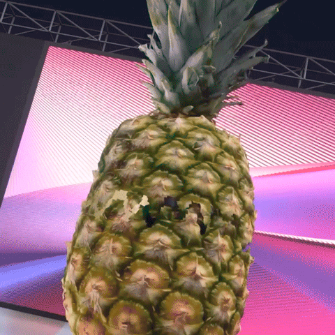Gif-kekec-53.gif