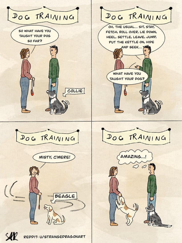 breed-stereotypes-v0-es58ildbtx9b1.jpg