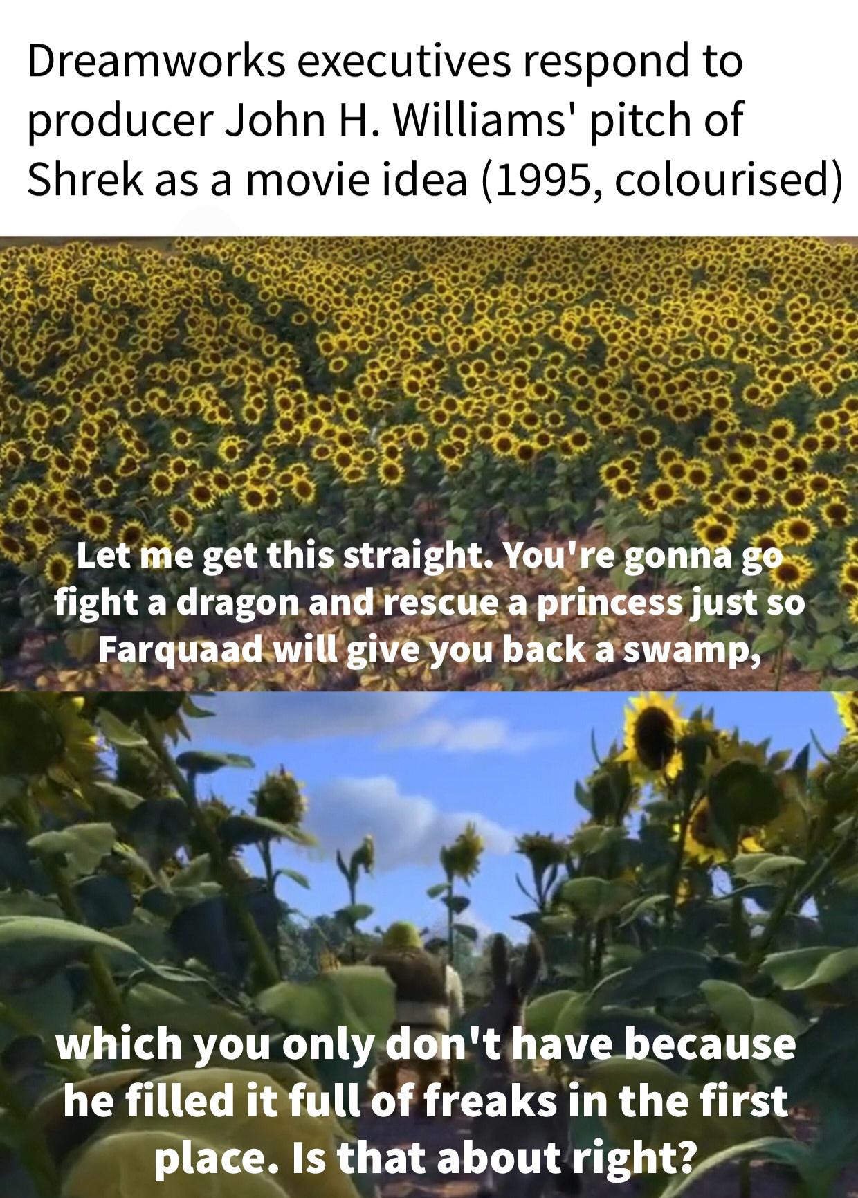u8iz24-Making_a_meme_from_every_line_in_Shrek__2001__Day_214-4akcdkwphuu81.jpg