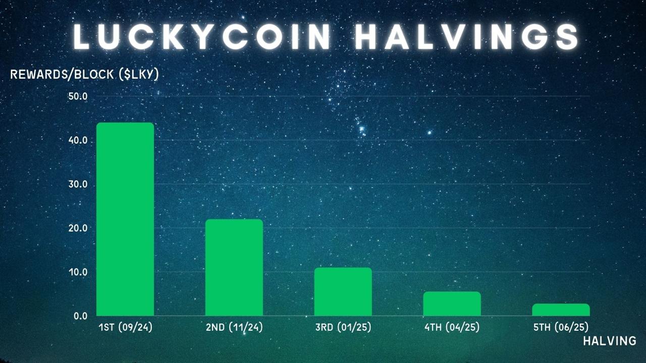 photo_877@10-10-2024_03-53-15 - Copy - Copy - Copy.jpg