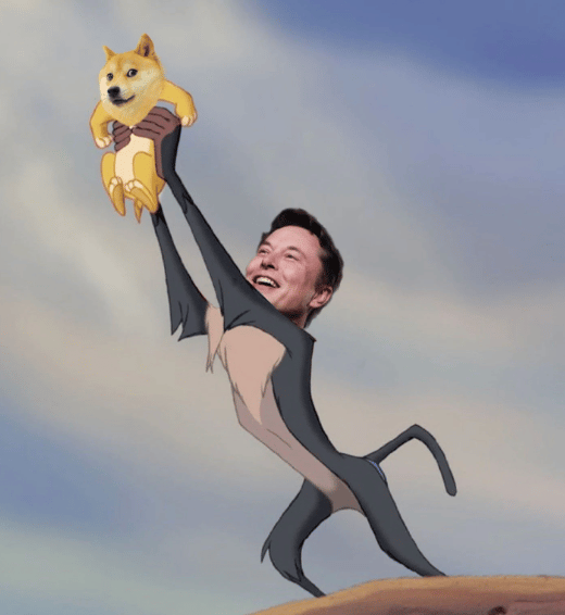 Elon deez nuts