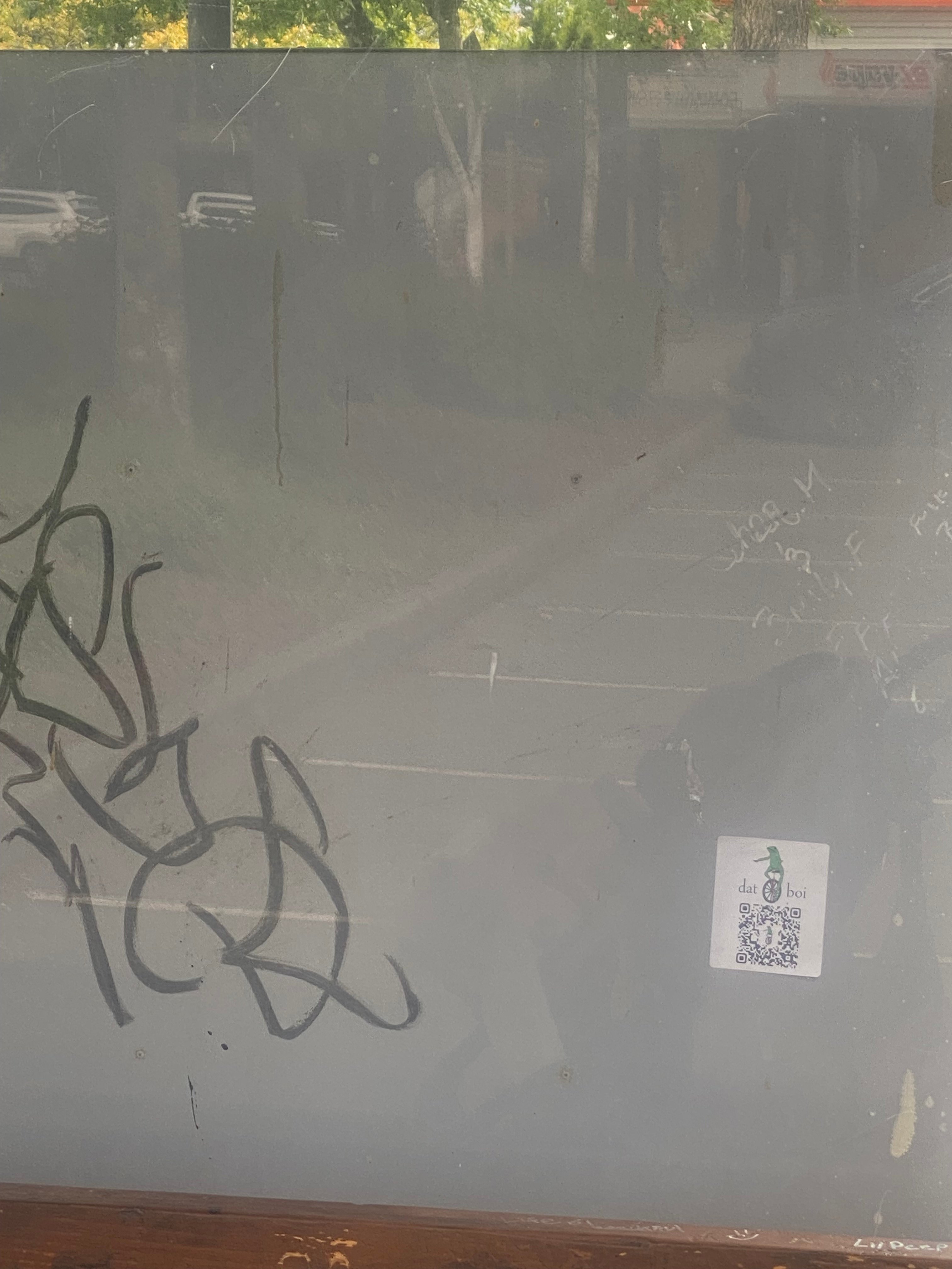 IMG_5913.jpeg