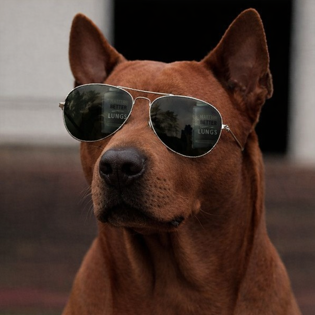 Thai Ridgeback Dog1.png
