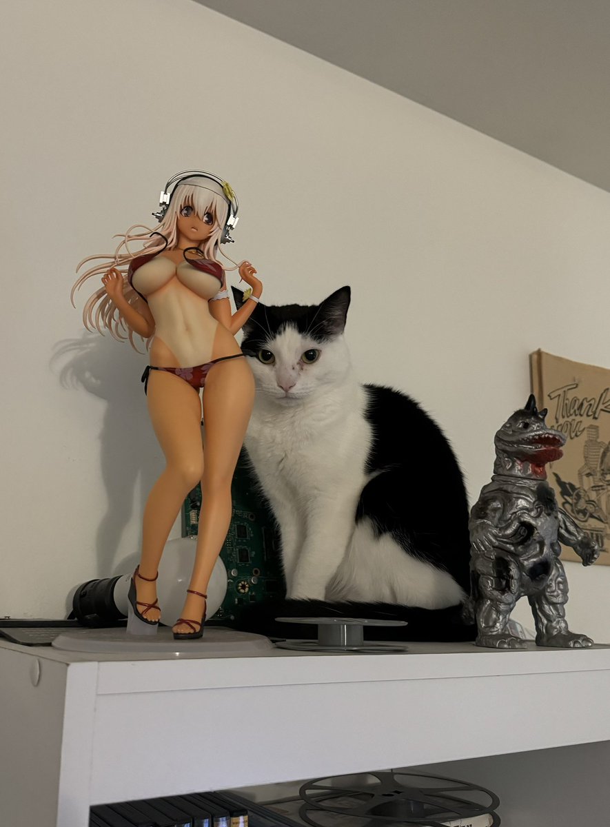 RT @ccnr_b: my daughter the pervert https://t.co/v4bDZAei6W