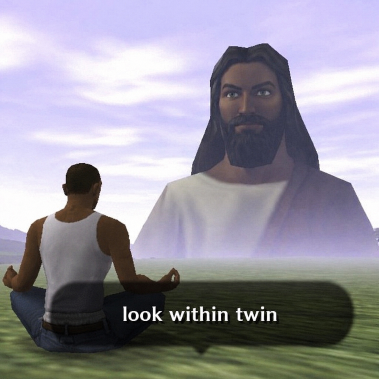 look within twin