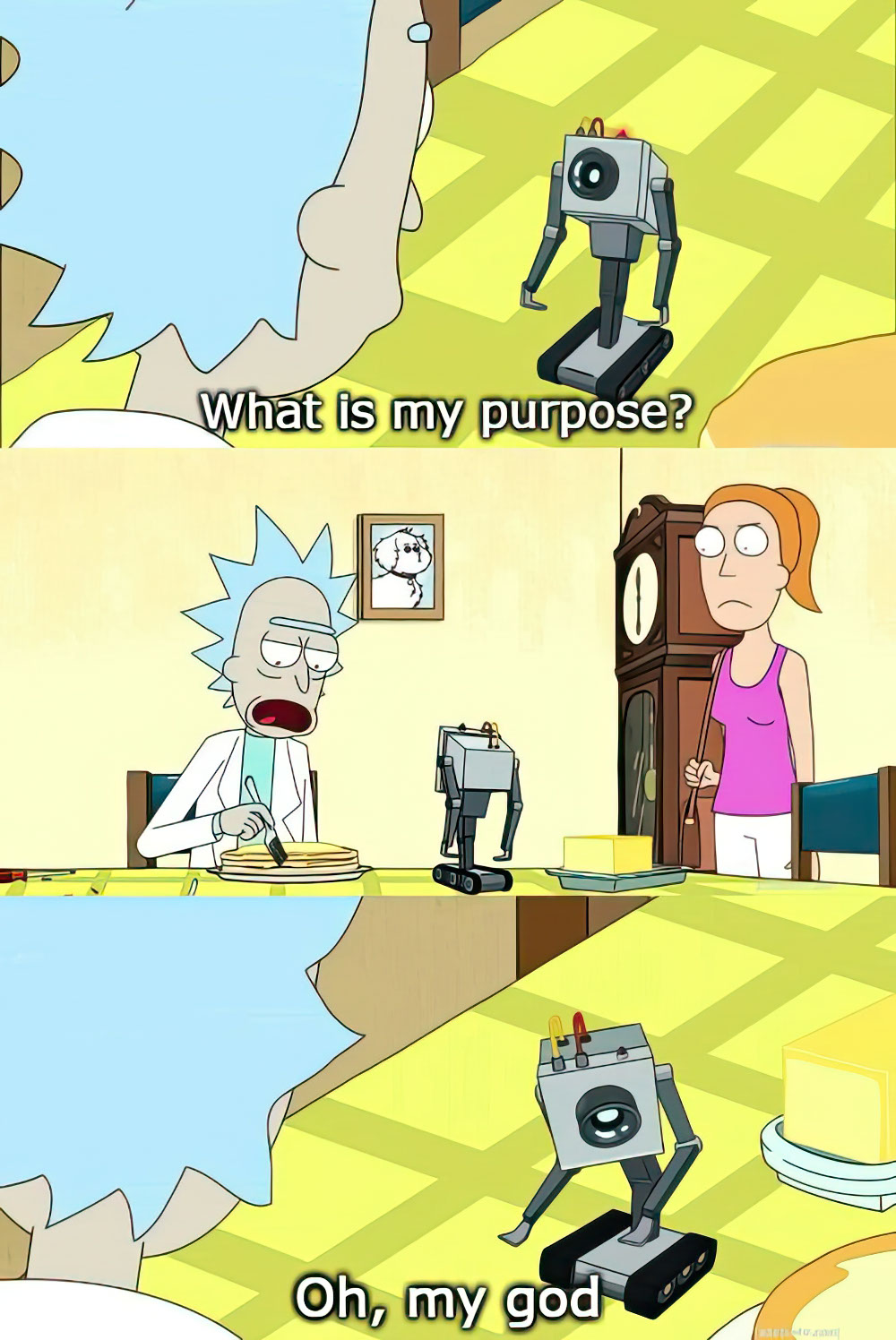 Rick Morty - What is my purpose.jpg