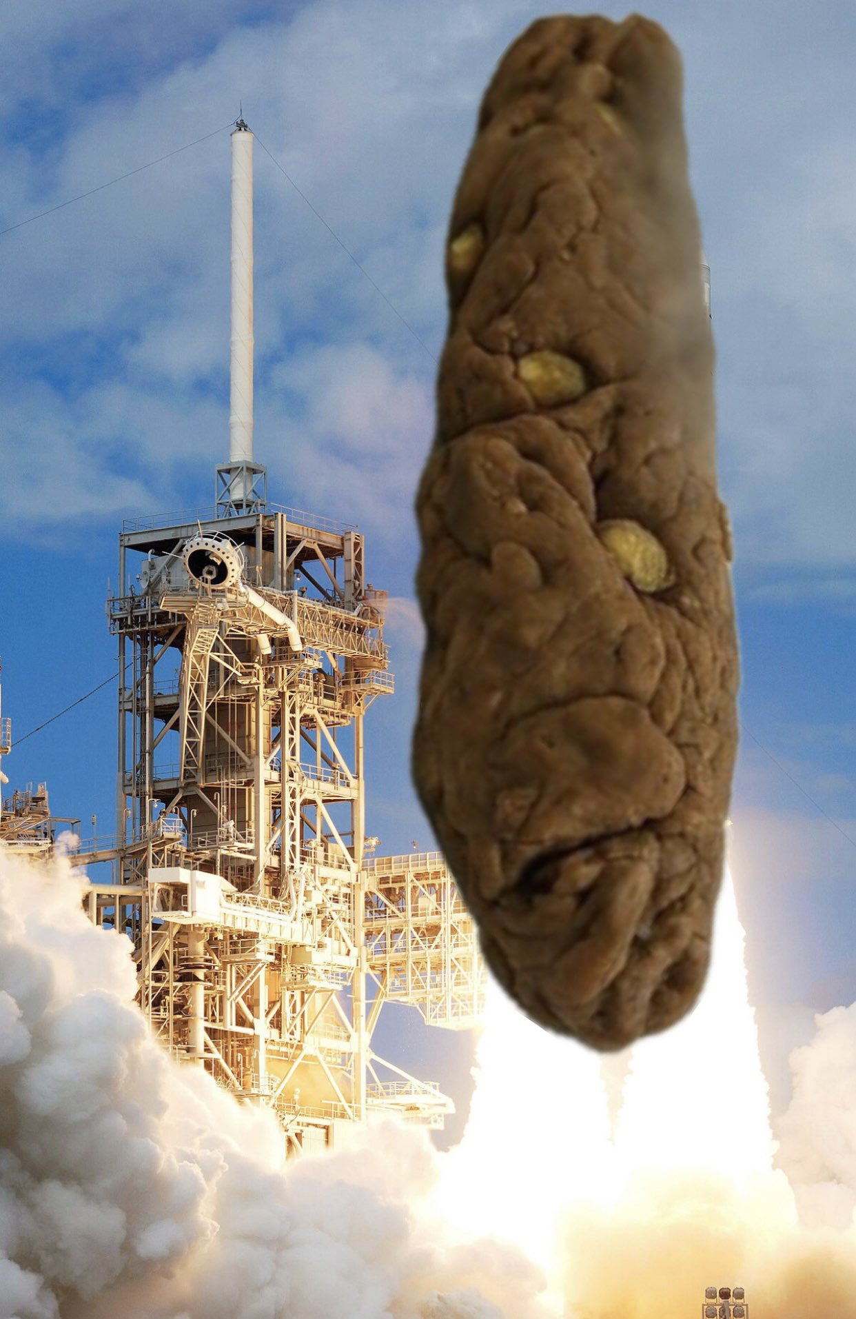 39753.jpg