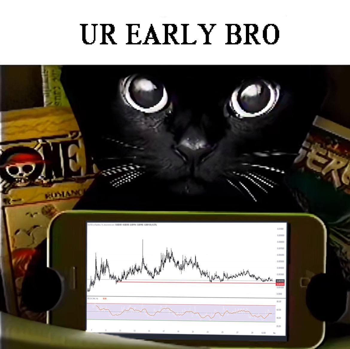 1000009069.jpg