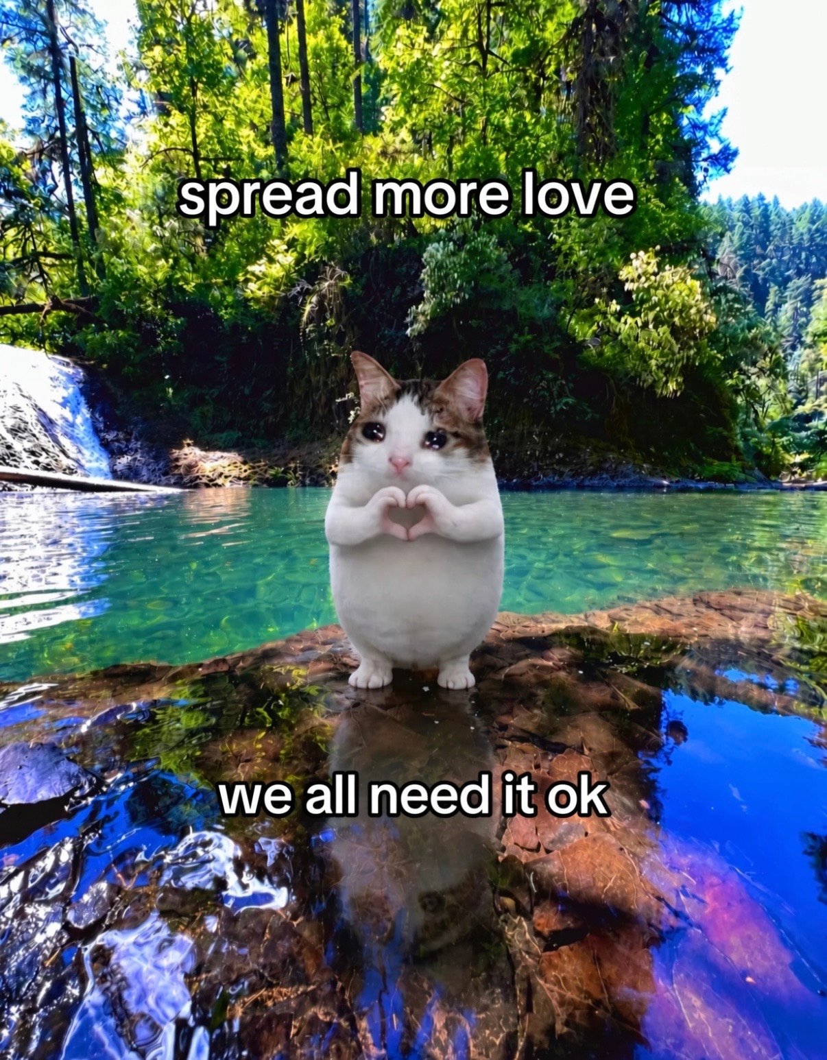 IMG_8771.jpeg