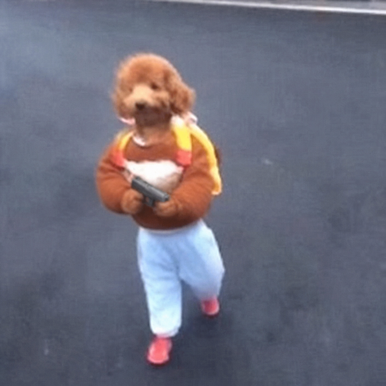 running-backpack-dog-wif-gun.png