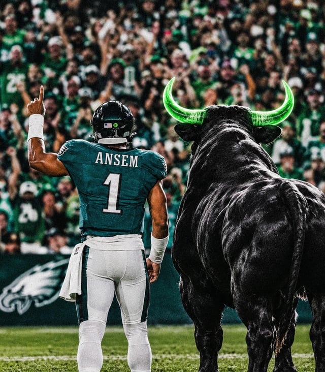 fly bulls fly