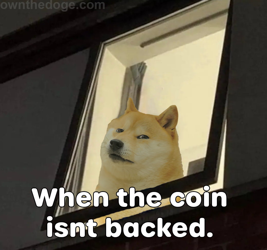 doge-window-reverse-isntbacked.png