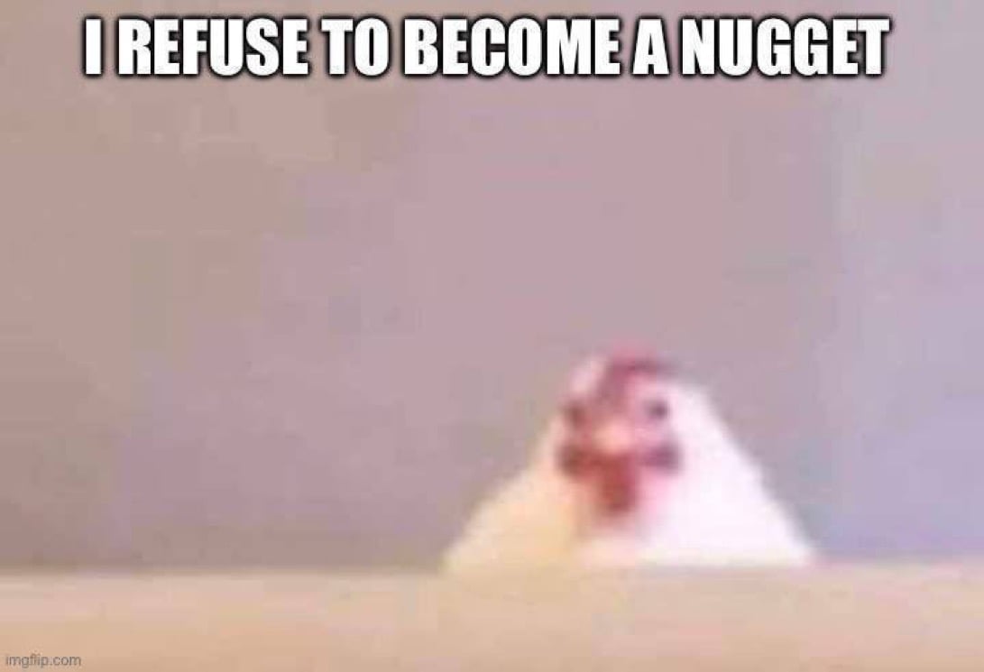 GREG the low quality 🐔 