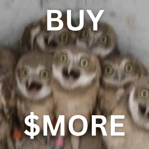 MOARRRRRRRRRRRRRR! (1).png