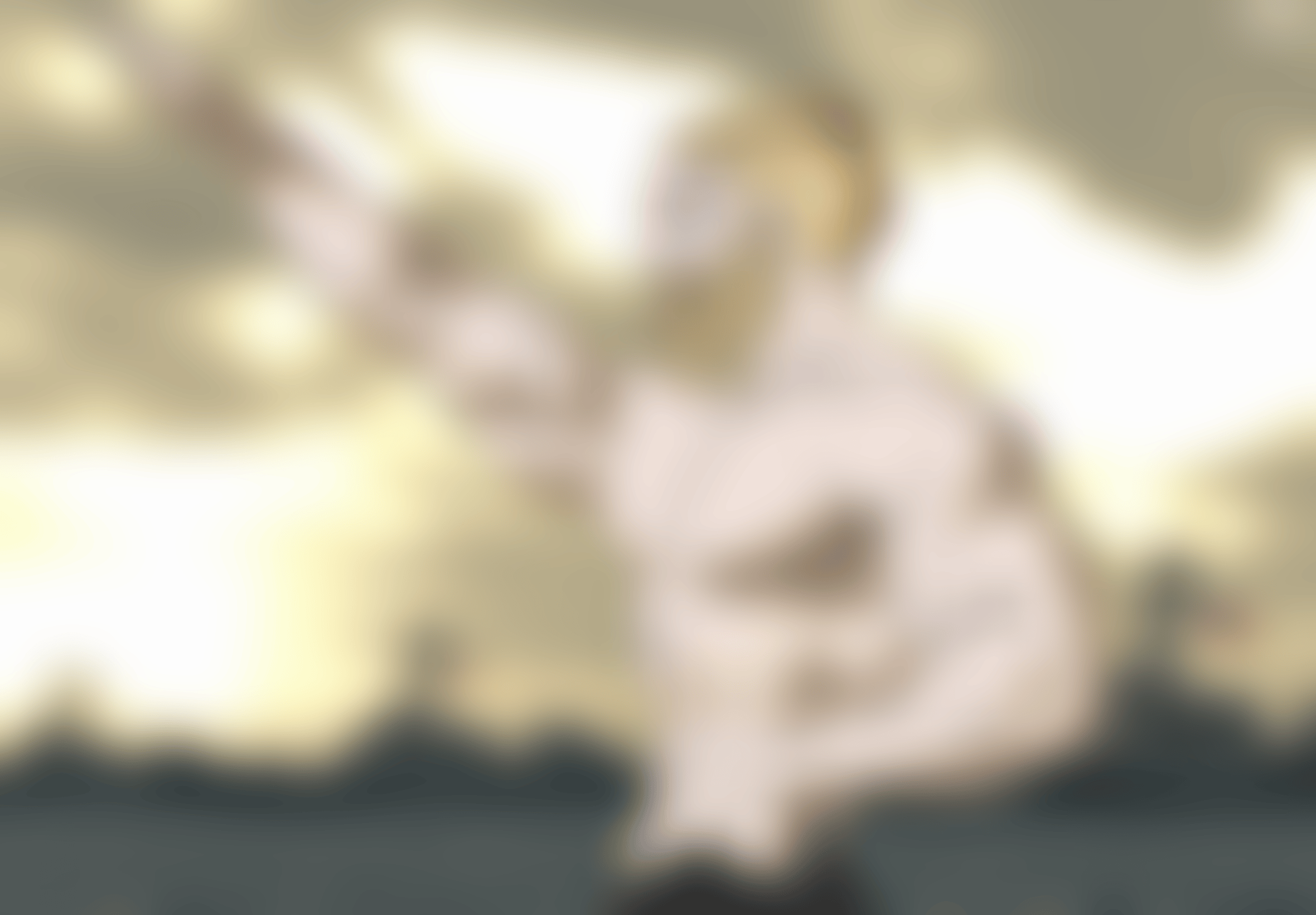 IMG_4348.png