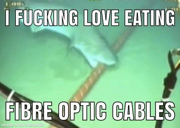 fibre optic cables.jpg