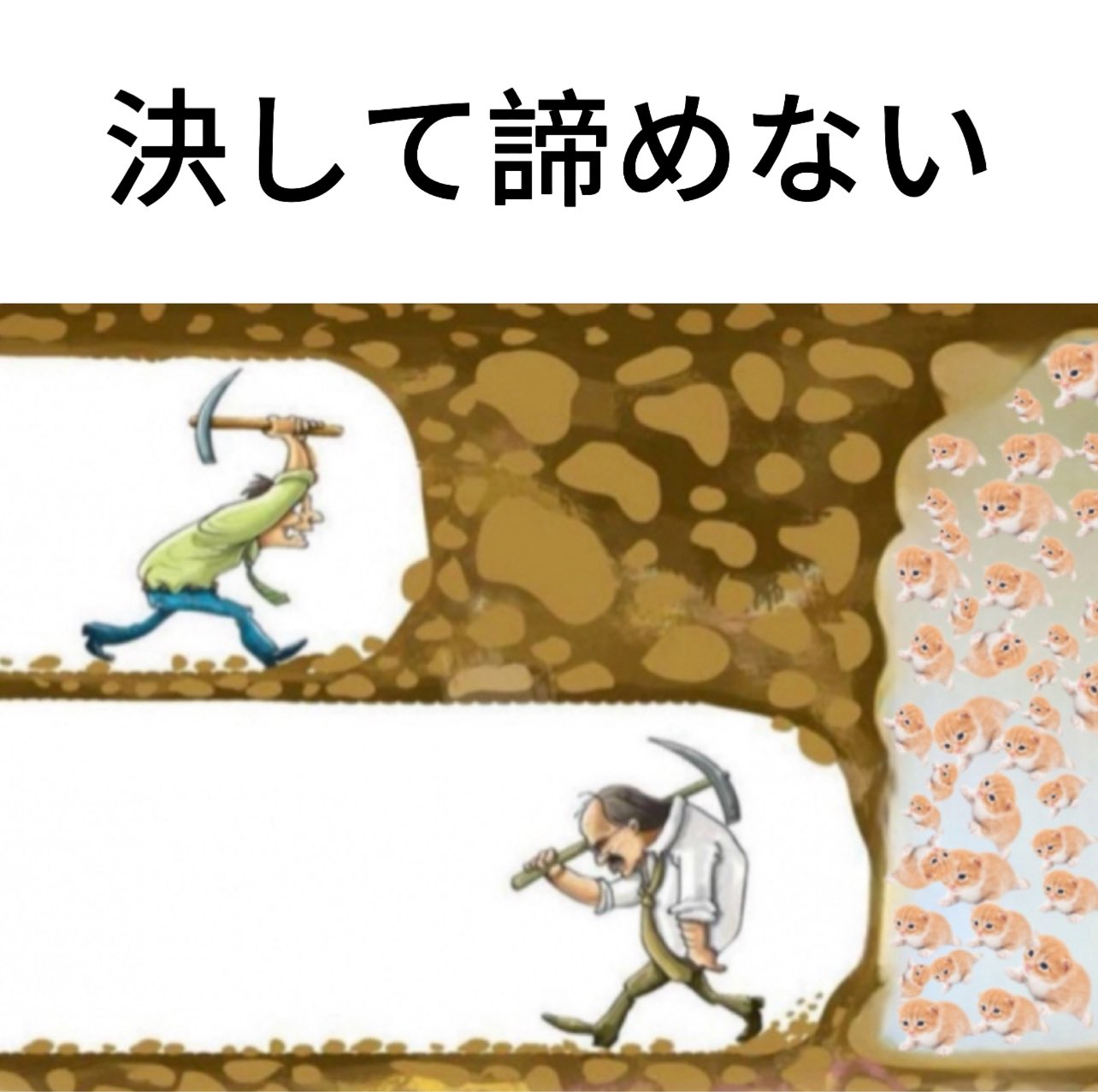 never give up gary.jpg