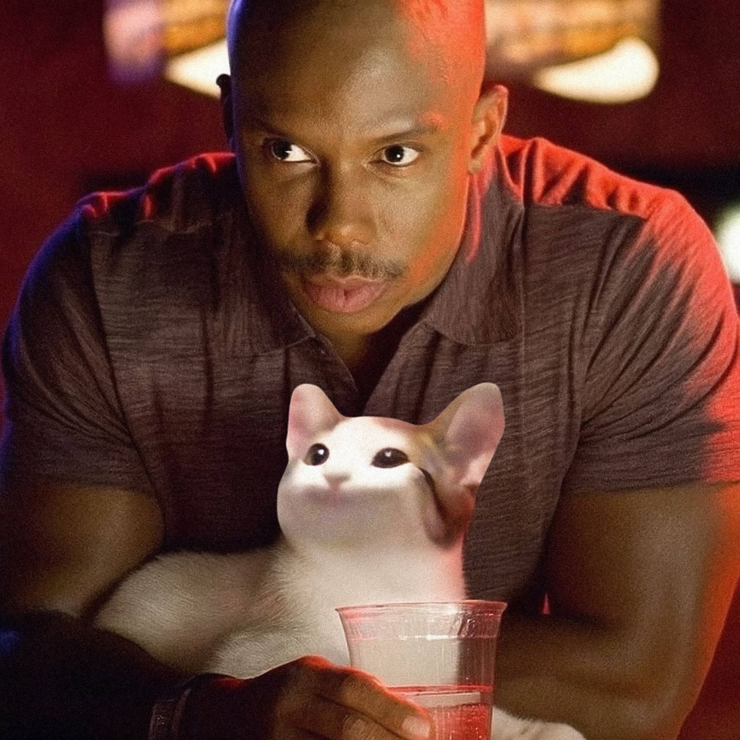 Doakes Popcat
