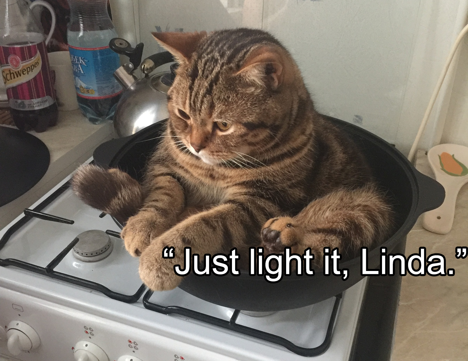 Just Light It, Linda _ Depressed Cat In Pot On Stove - Template.png