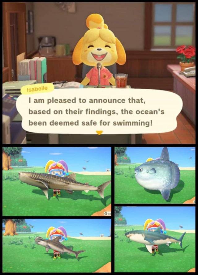 animal crossing fish safety.jpg