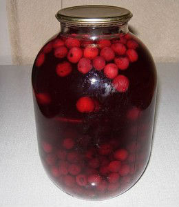 Kak-varit-kompot-iz-vishni.jpg