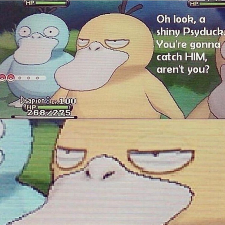 057-pokemon-psyduck-meme-2491406414.jpg