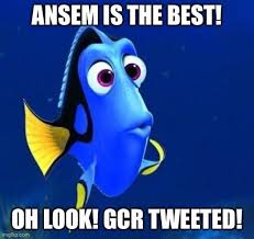 Ansem GCR.jpeg