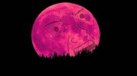 pink-wojak-moon-rising-thumbnail.jpg