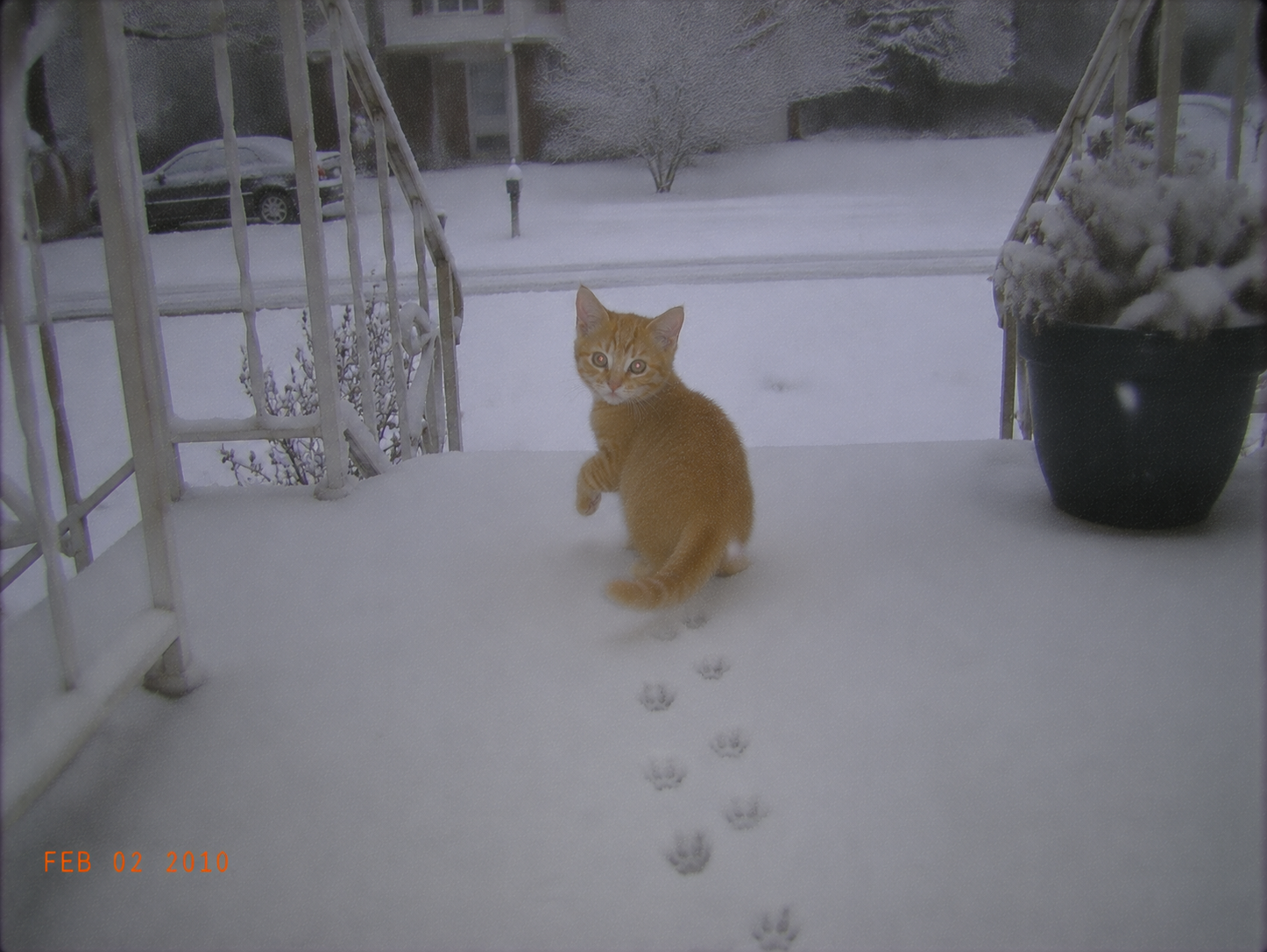 sirius-66-onchain-footprints.png