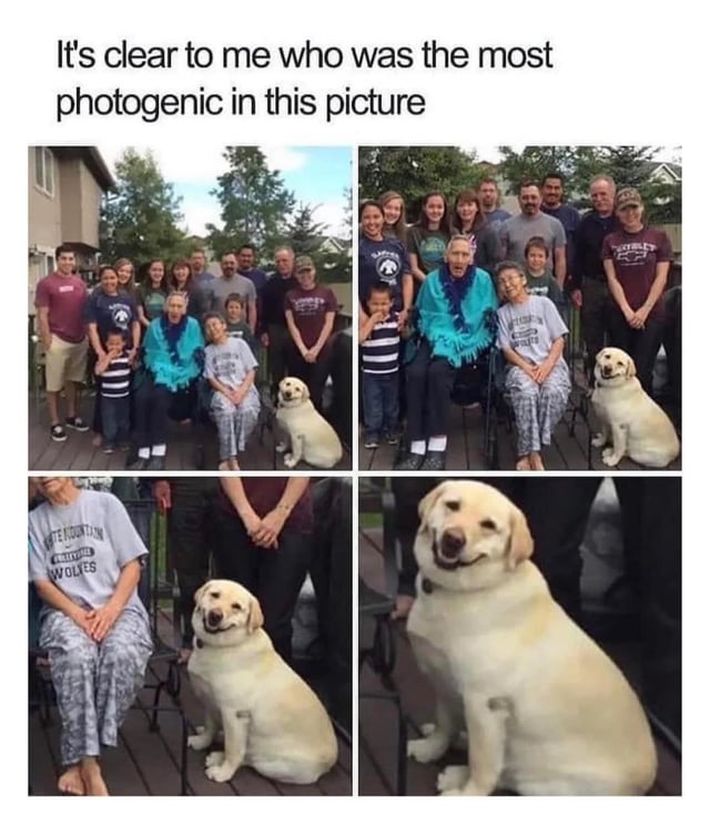 cutiee-right-v0-o2phlufg5q1b1.jpg