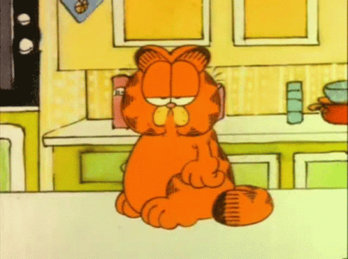 garfield-cat.gif