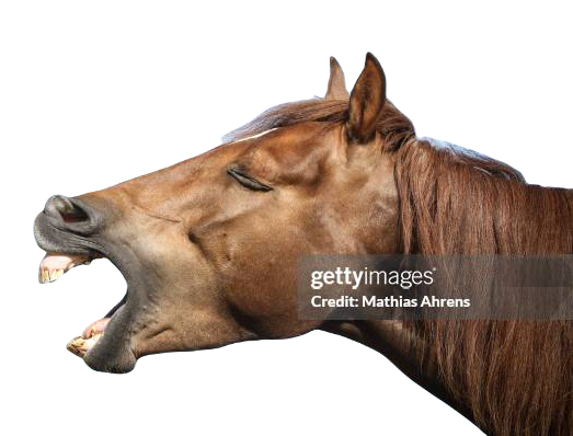 horefunnyface4.png