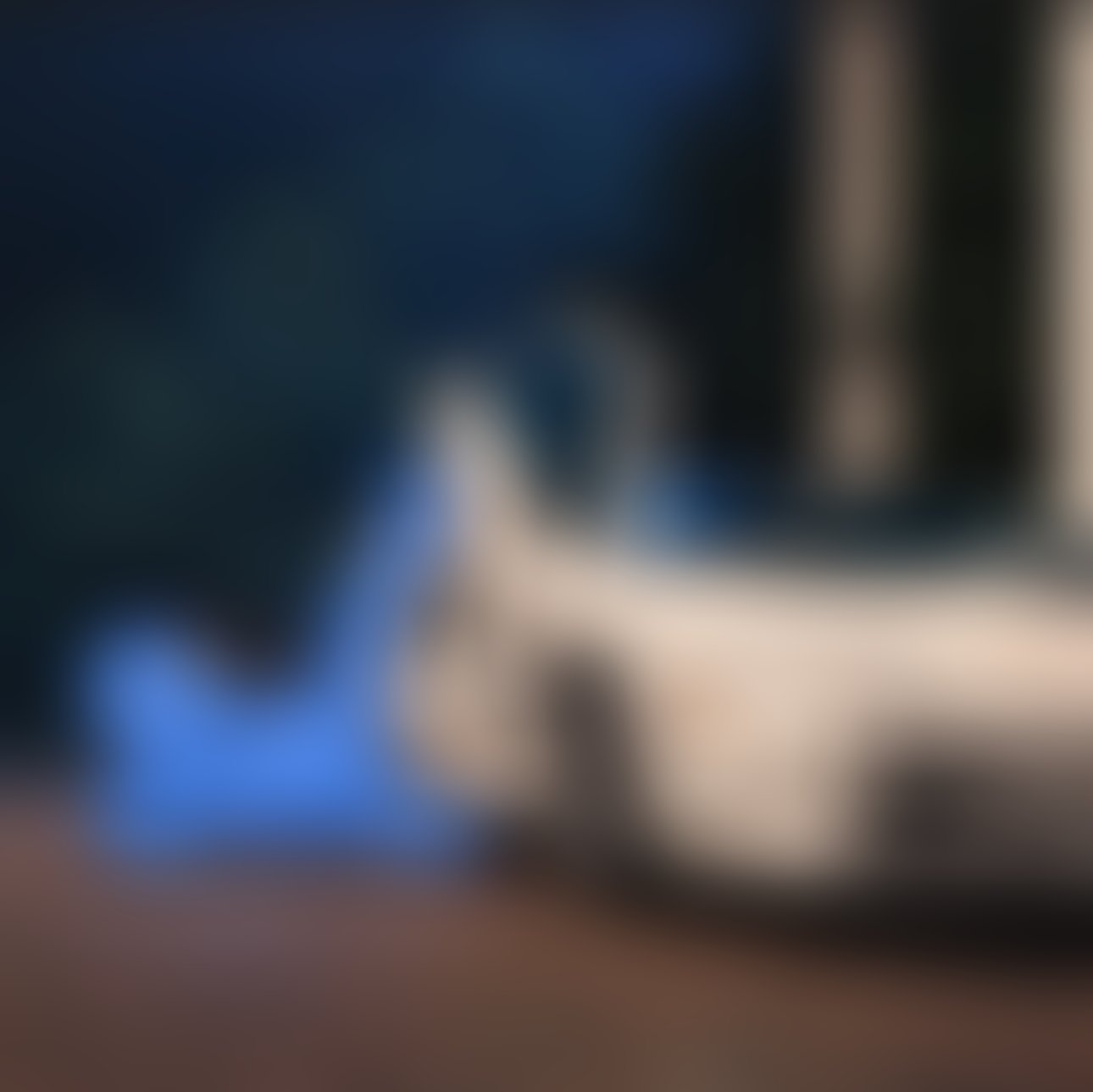 39DF016F-5F61-4268-8453-9202D2DEF21D.jpeg
