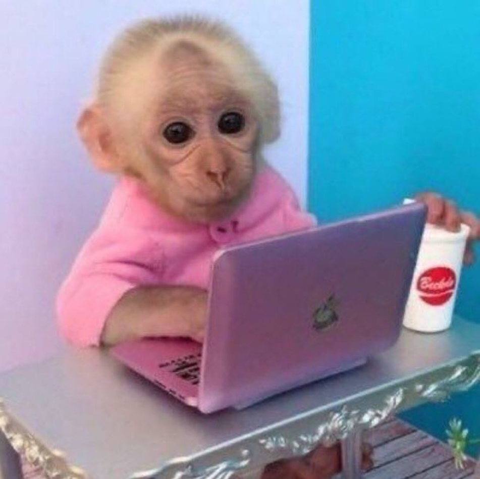 Screenshot 2023-07-18 at 10.39.54 AM.png