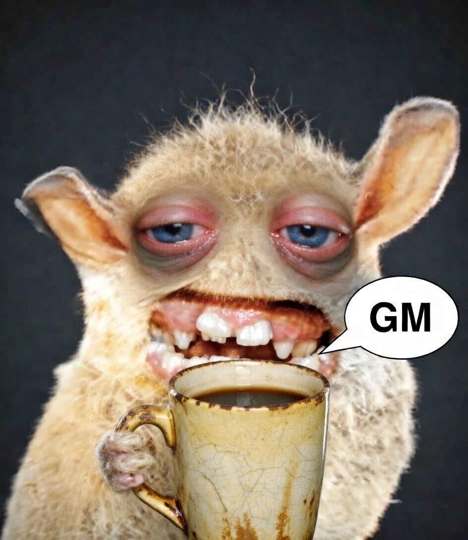 HFTVnuHa8AAvXCC.jfif