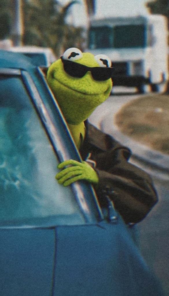 Ace Ventura Kermit