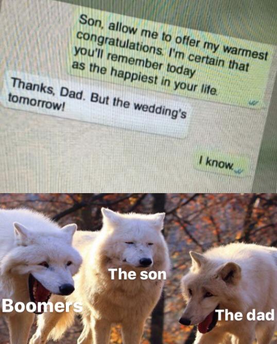 boomer wolves wedding day.jpg