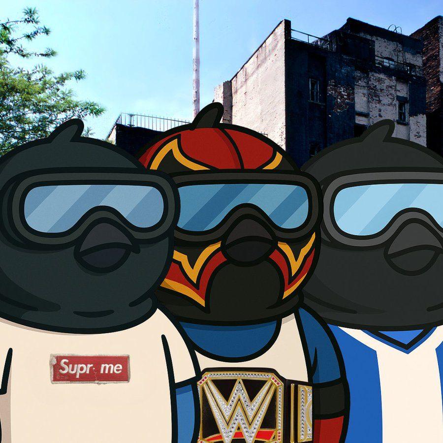 IMAGE 2025-08-14 23:02:27.jpg