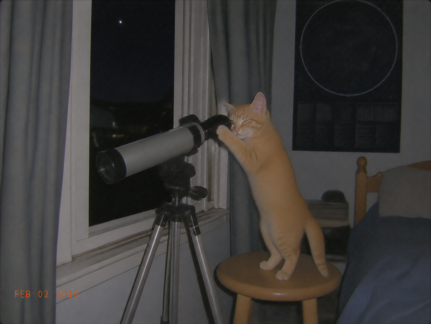 sirius-77-star-check.png